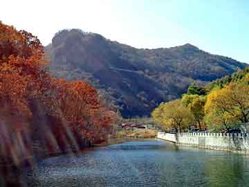 管家婆黑白马报图库，藏王红花贴